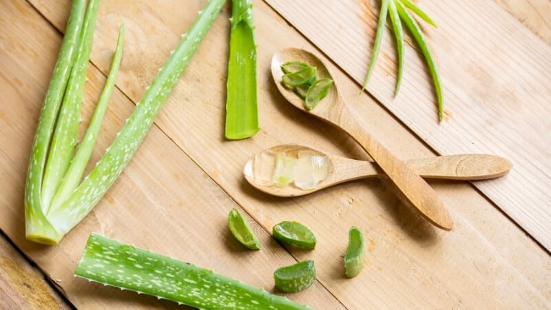 Aloe Vera per la crescita e la cura della barba: miti