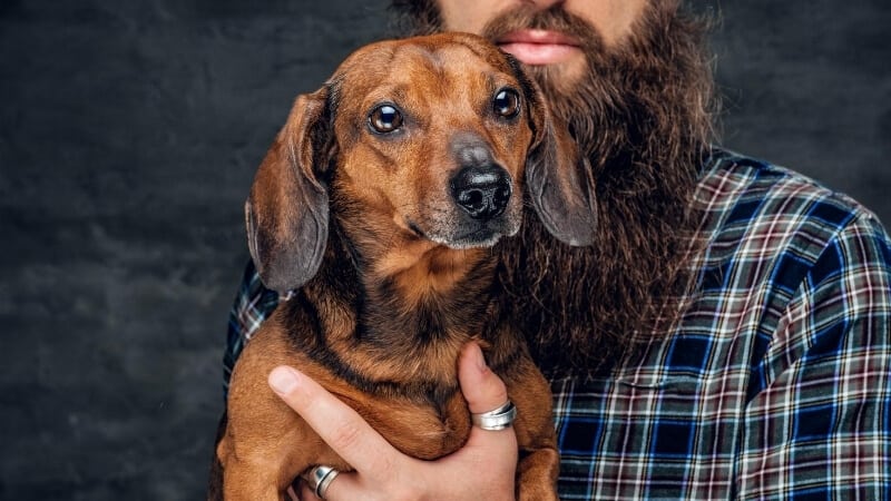 Le migliori opzioni per le sfumature marroni della barba